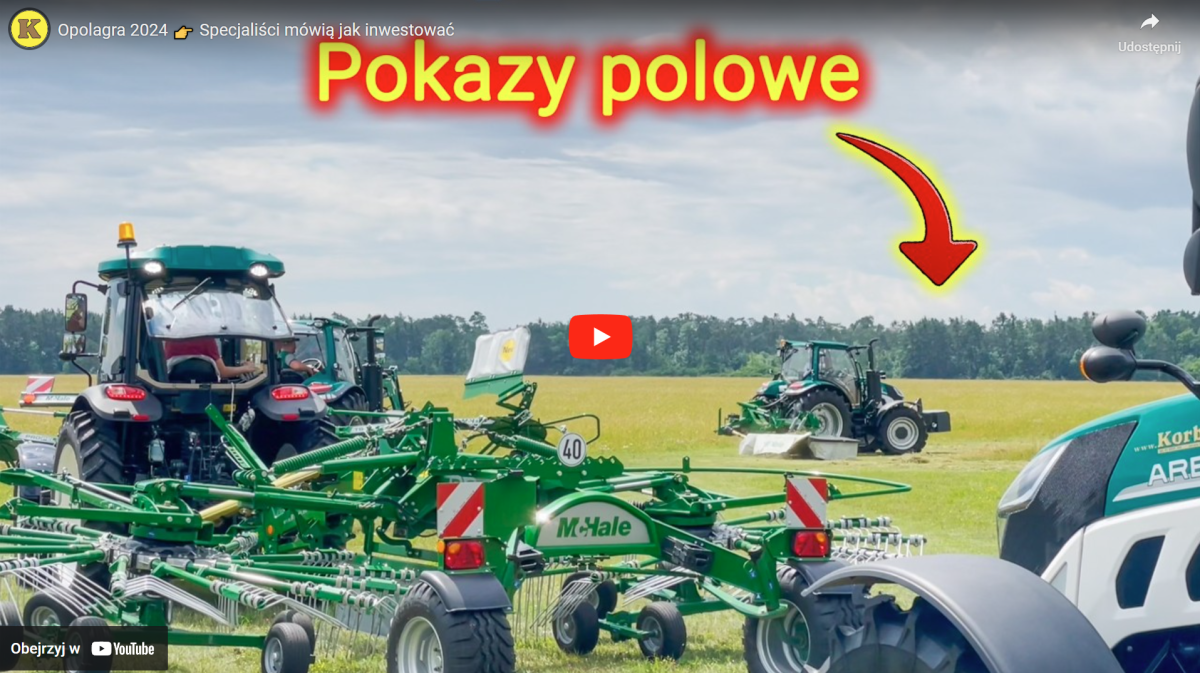 Pokazy polowe