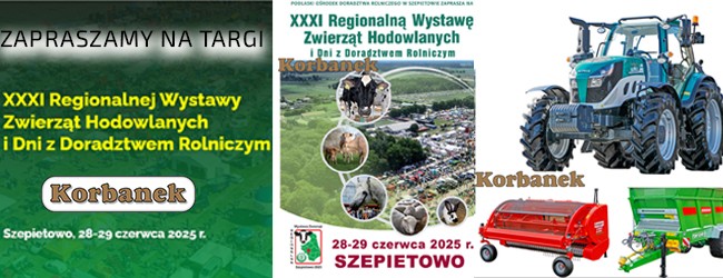 WYSTAWA W SZEPIETOWIE 28-29 CZERWCA