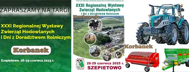 WYSTAWA W SZEPIETOWIE 28-29 CZERWCA