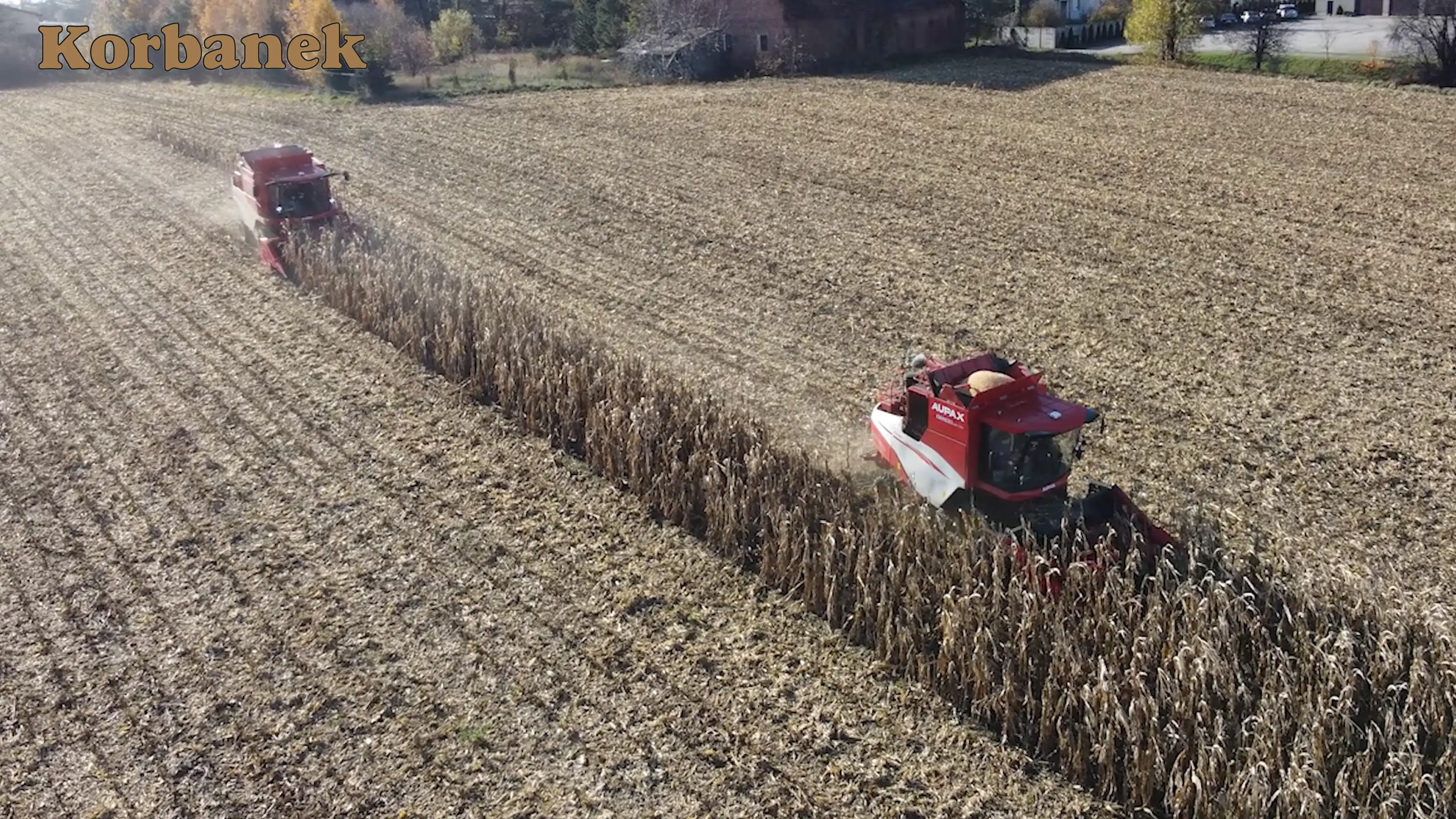 Dzięki wcześniejszemu zamówieniu kombajnu możesz zyskać nawet do 40 000 zł w porównaniu do starego cennika obowiązującego na sezon żniwny w 2025 roku. Pokazy są przeprowadzane zarówno kombajnem rotorowym, jak i klawiszowym w kukurydzy