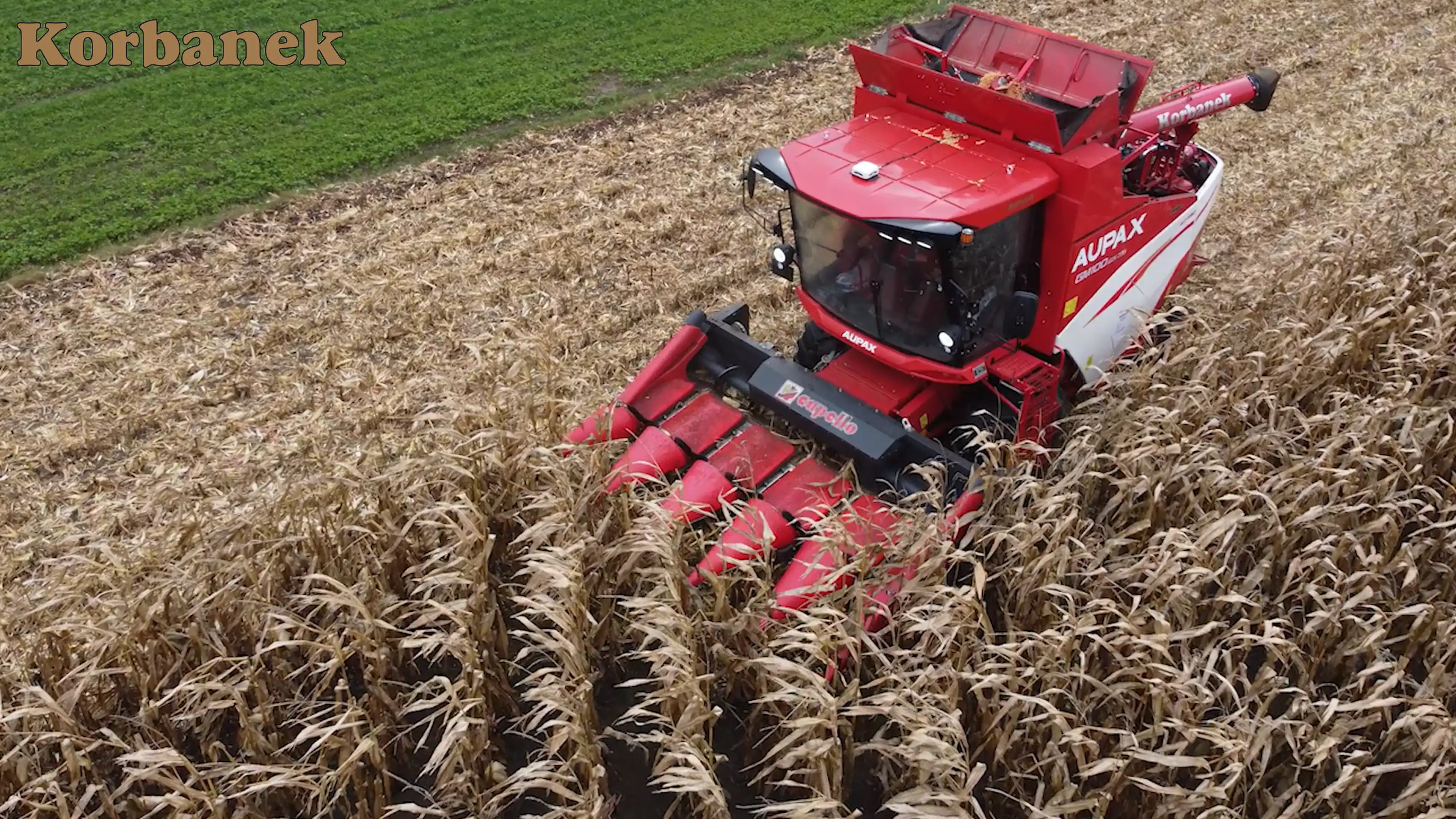 Pokazy kombajnów w koszeniu kukurydzy w rejonie firmy Rol-Brat wypadały bardzo pozytywnie