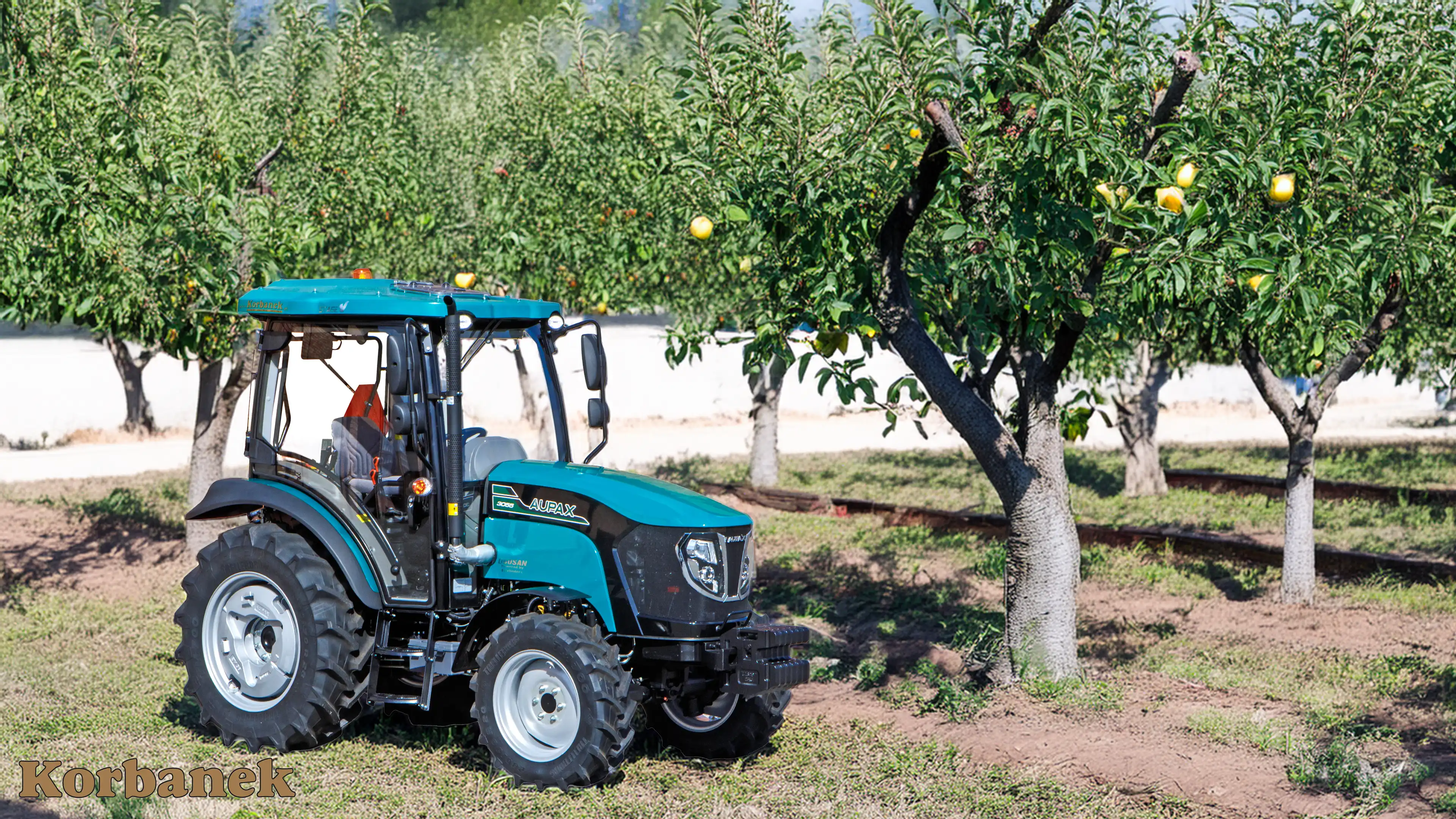Aupax 3055 świetnie sprawdzi się do pracy w sadzie, bądz firmie produkującej warzywa