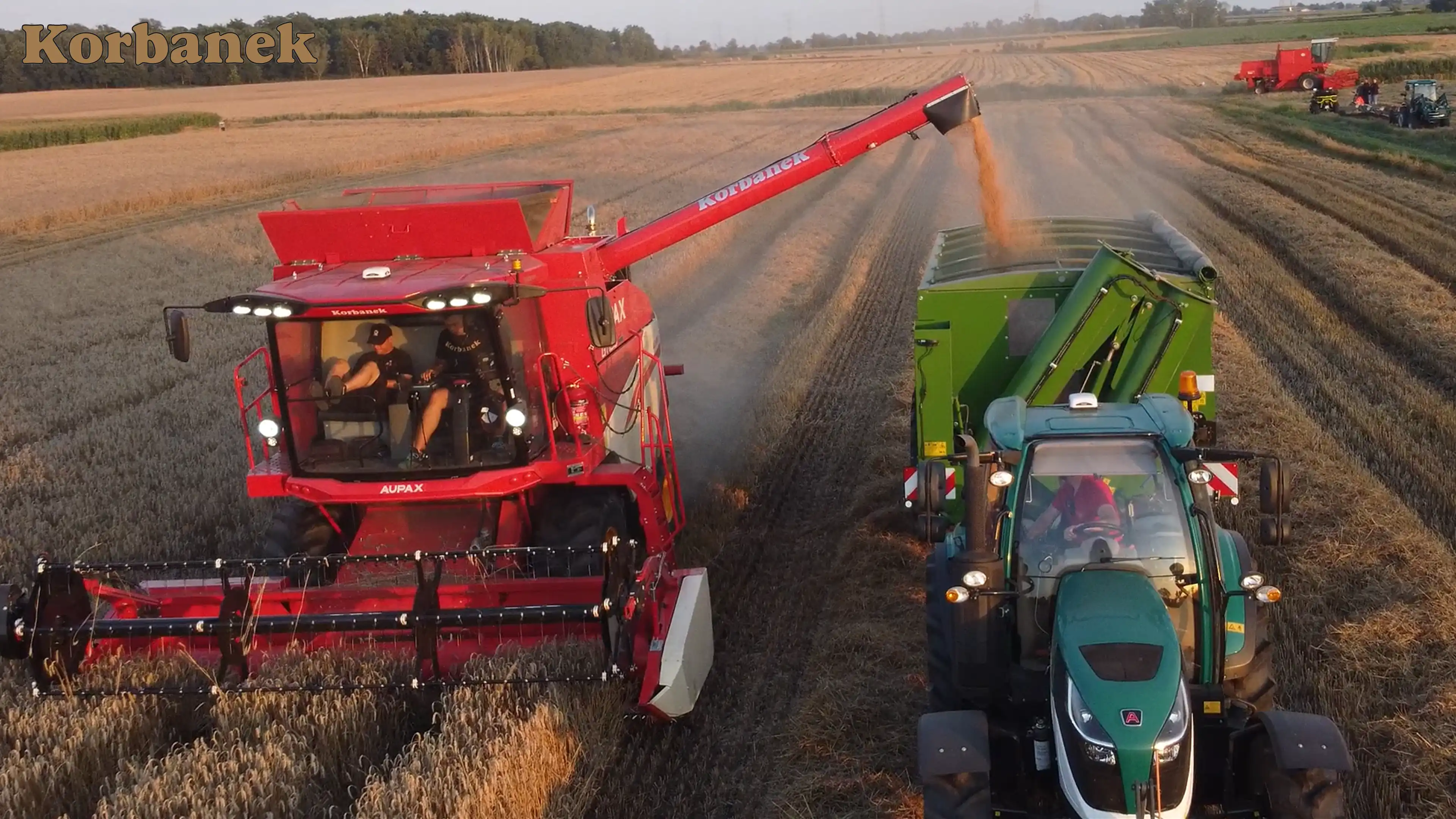 Całe żniwa 2025 kombajny Aupax intensywnie pracowały na polu, bez awarii