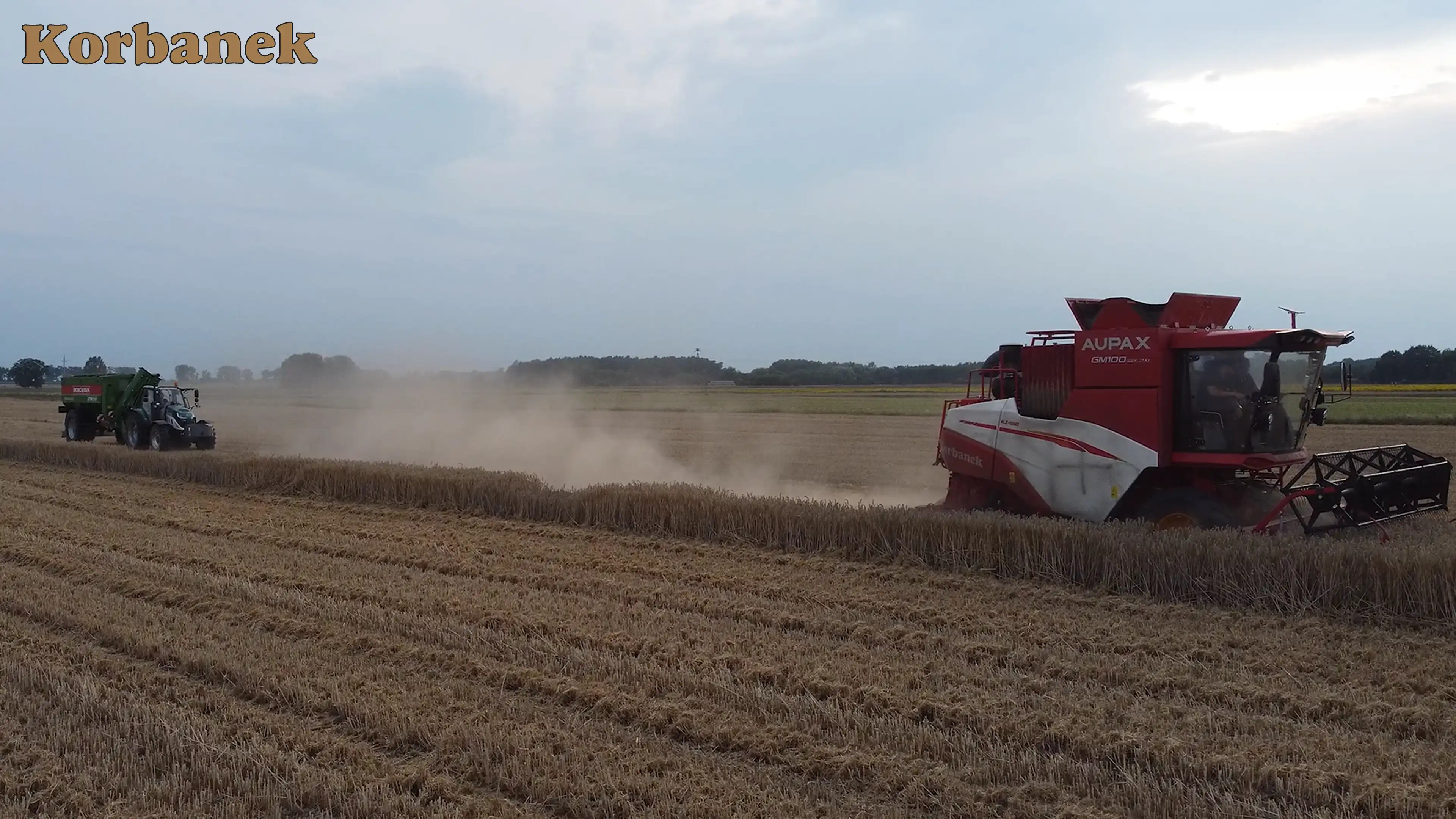 Kobajn Aupax był testowany w 2025 roku w różnych uprawach na polach Klientów W 2025 roku testowaliśmy intesywnie kombajny Aupax na polach