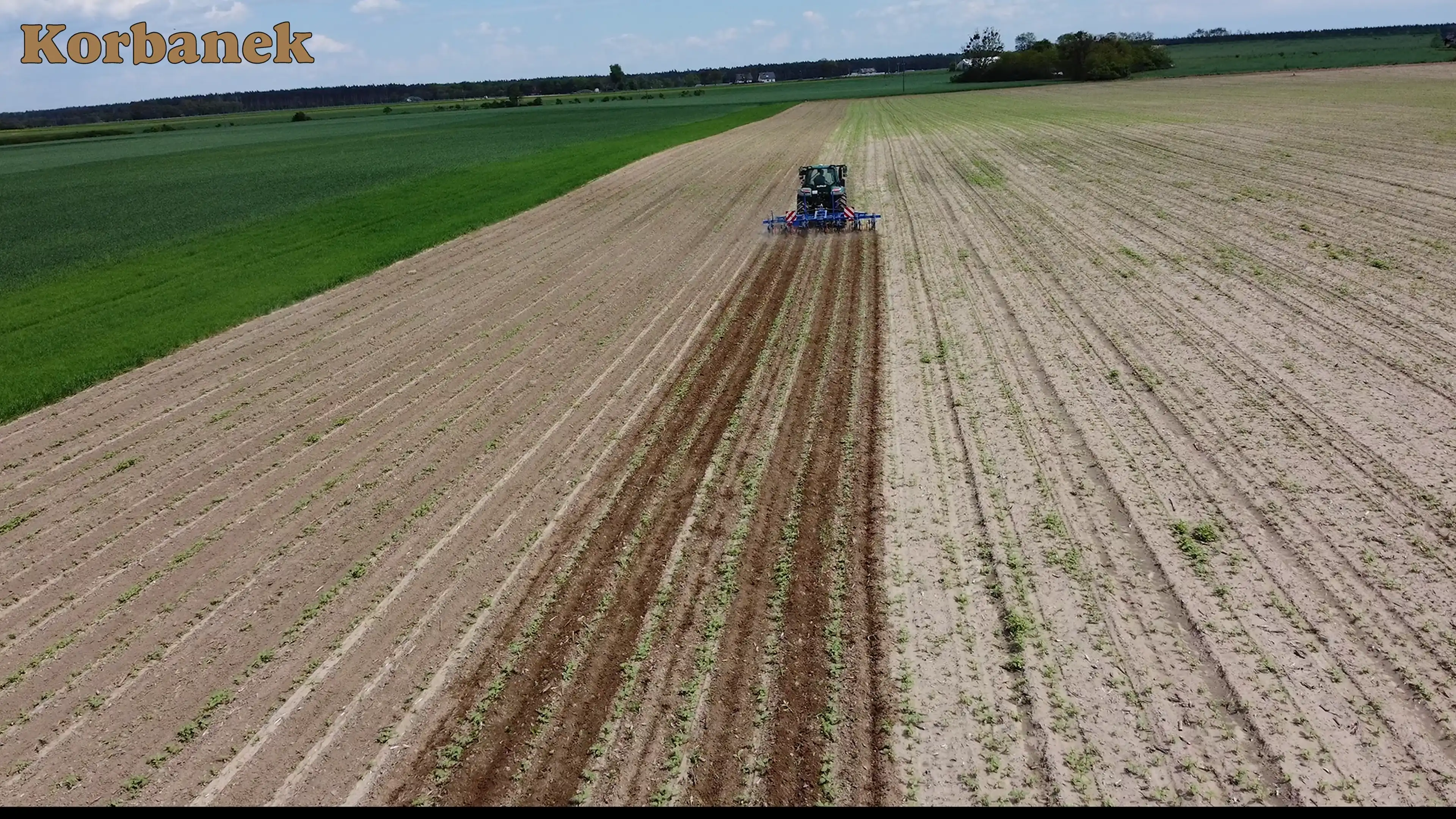Pielenie jest dobrym rozwiązaniem w celu pokonania chwastów w przypadku większości upraw rzędowych, takich jak kukurydza, buraki, soja, słonecznik, rzepak, czy warzywa