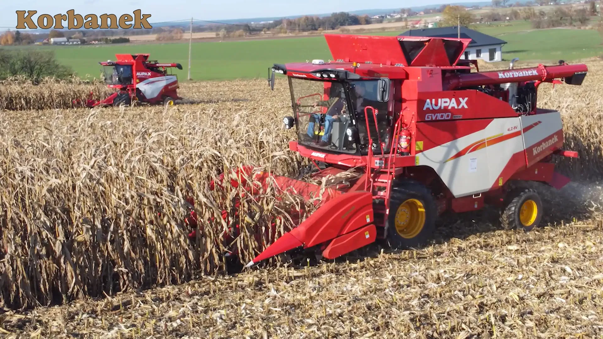 CHIŃSKIE KOMBAJNY AUPAX FIRMA KORBANEK TESTUJE OBECNIE W KOSZENIU KUKURYDZY. JAK DAJĄ SOBIE RADĘ? POKAZY POLOWE KOMBAJNAMI AUPAX NADAL TRWAJĄ. JAK SPISUJĄ SIĘ CHIŃSKIE MASZYNY W POLSCE?