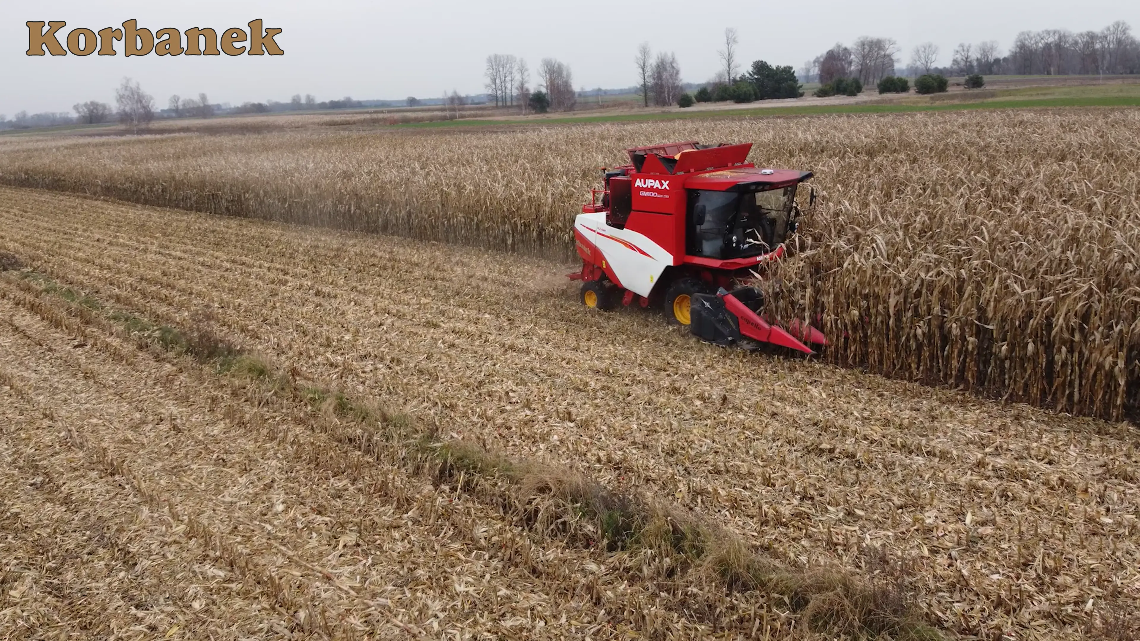 Po Bizonie i claasie może teraz czas na kolejna maszynę ze stajni Weichai w gospodarstwie Pana Krzysztofa Kombajn Aupax GM może zostać następbą Claasa w gospodarstwie Pana Krzysztofa