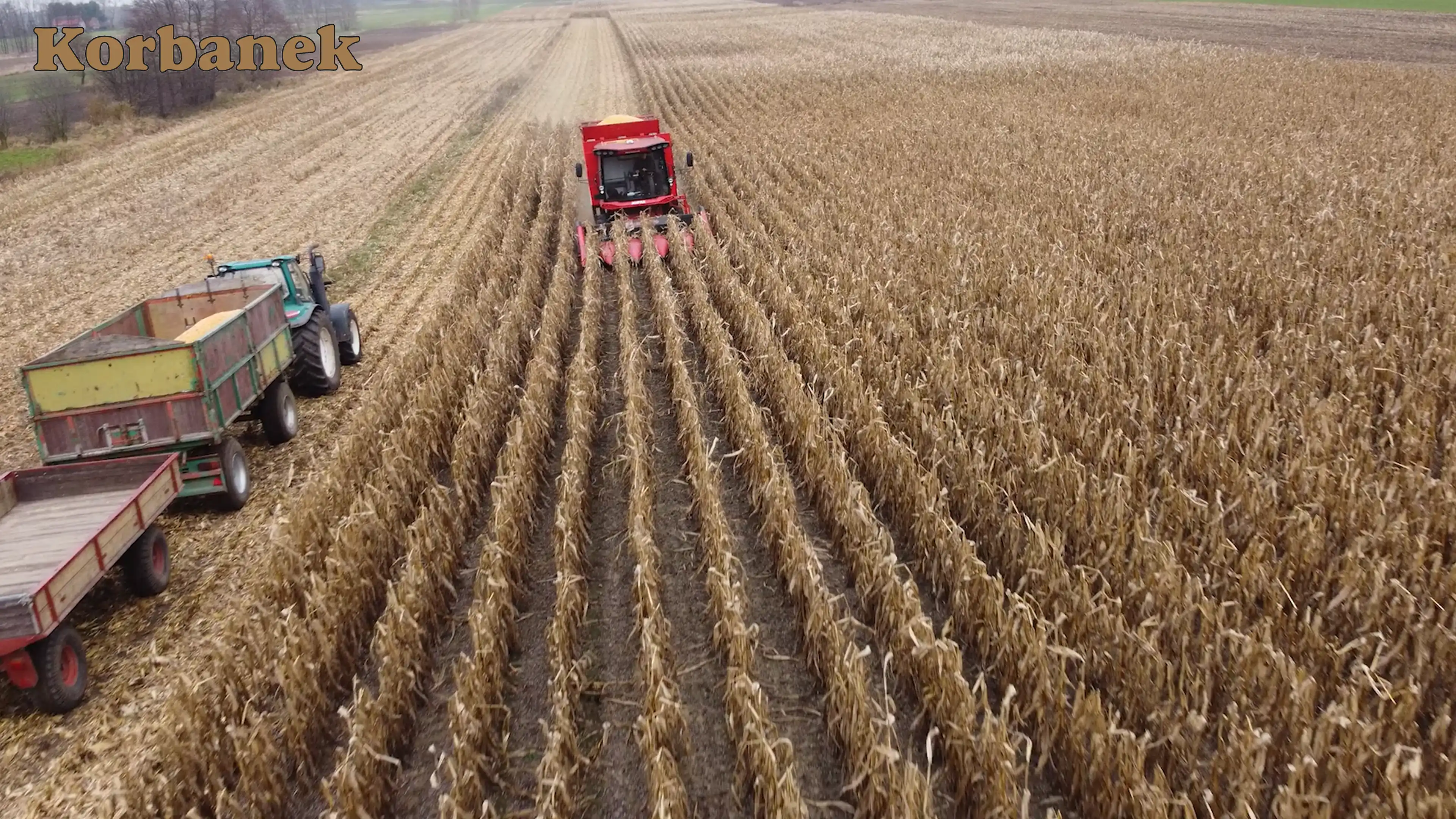 Kombajn Aupax GM 100  przewidziane jest na gospodarstwa od 50 do 150 hektarów