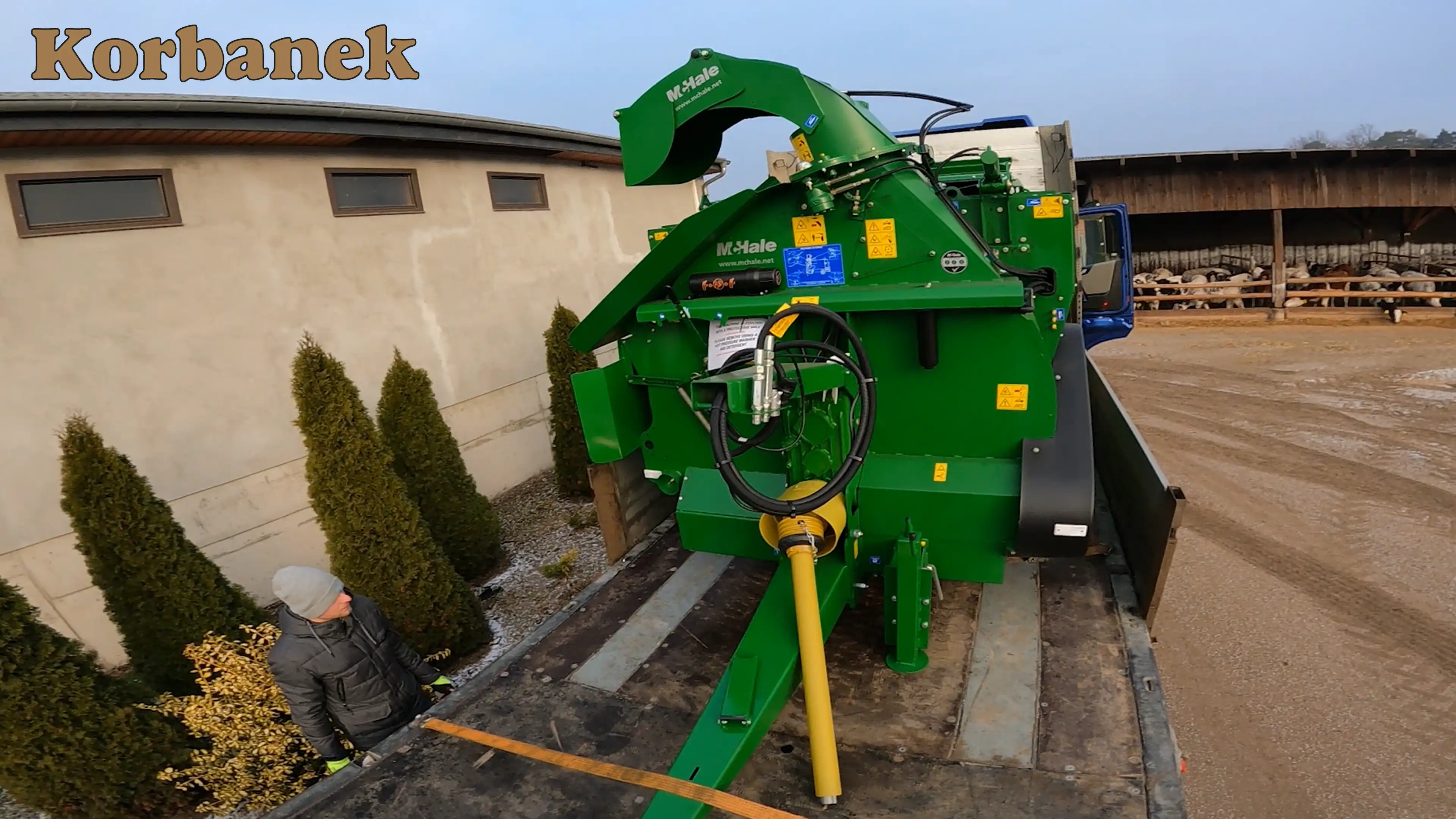 Hodowla bydła w której specjalizuje się gospodarstwo Pana Michała wymaga specjalistycznego podejscia do karmiienia zwierząt i rodzaju paszy