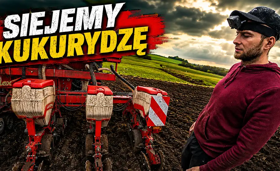 Siew kukurydzy u Bronczka