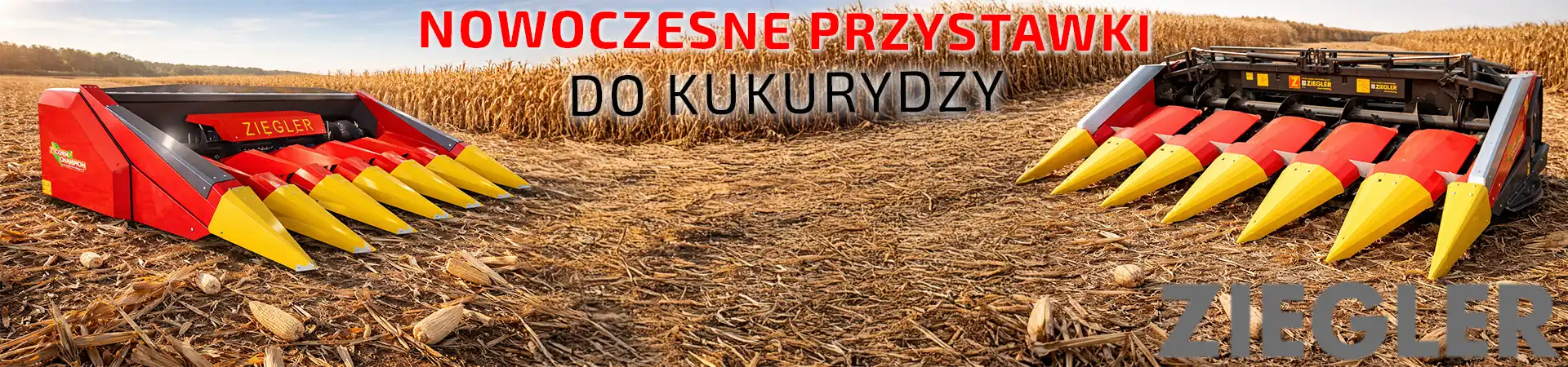 PRZYSTAWKI KUKURYDZIANE
