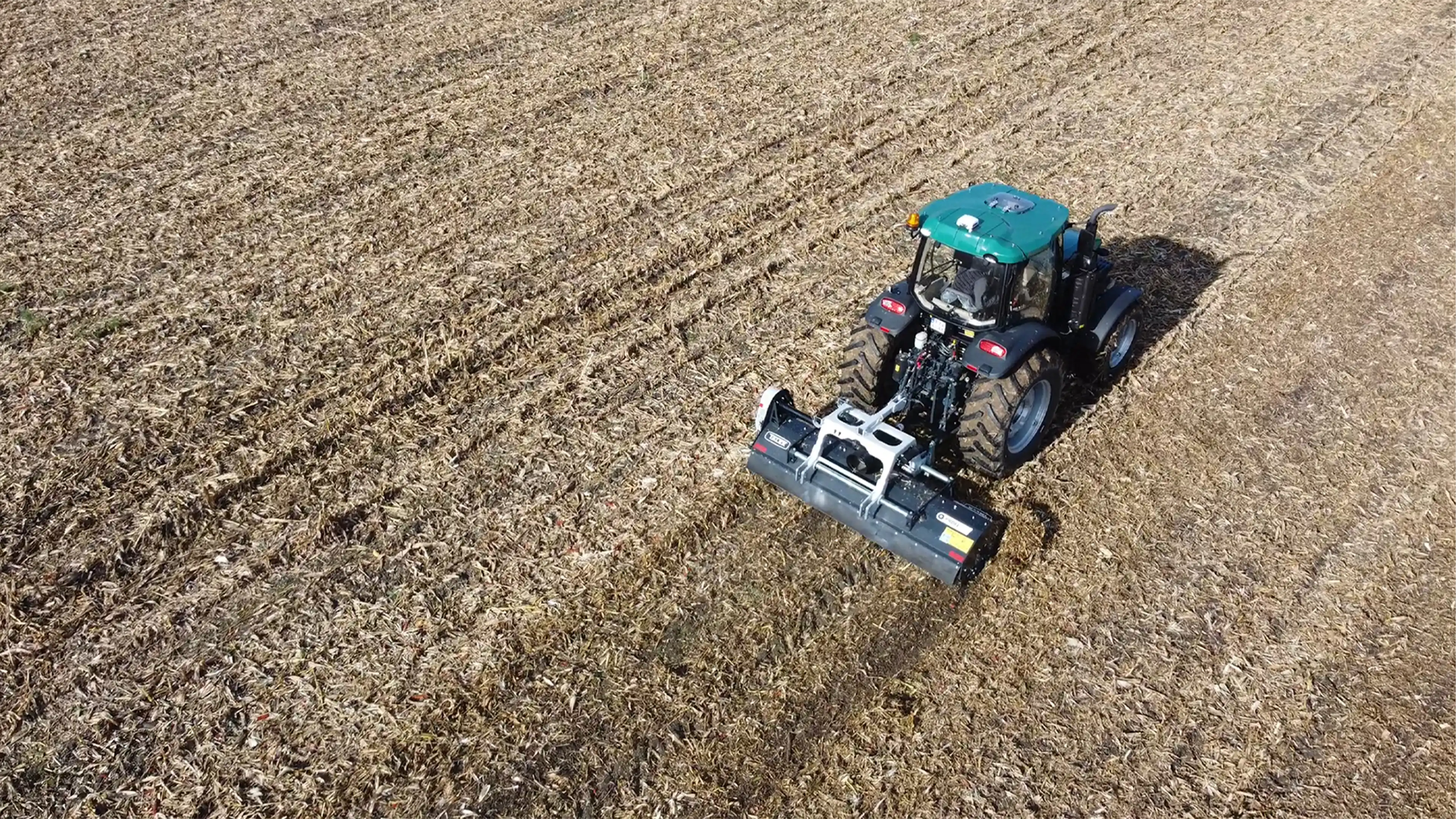 TALEX Dodaj tekst zastępczy dla szablonu