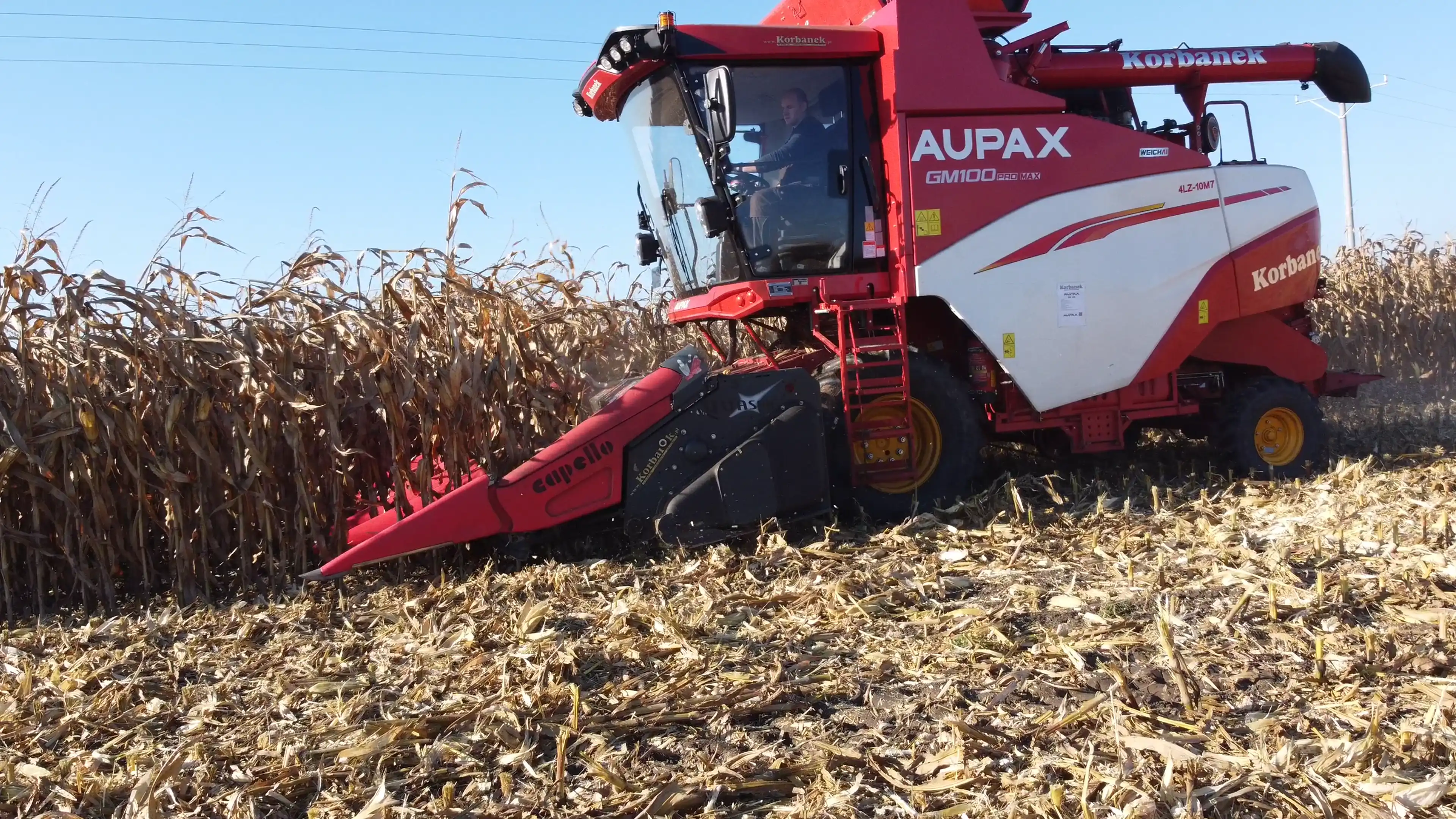 Dodaj tytuł dla zdjęcia Dodaj tekst zastępczy dla szablonu