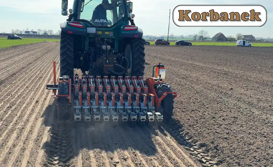 Nowoczesny wysiew cebuli