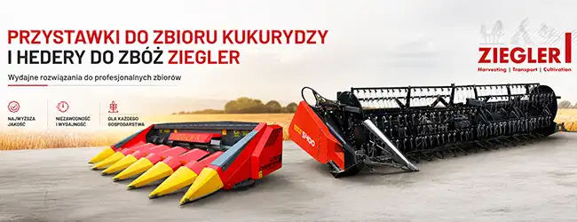 ziegler Najlepsze przystawki do kukurydzy