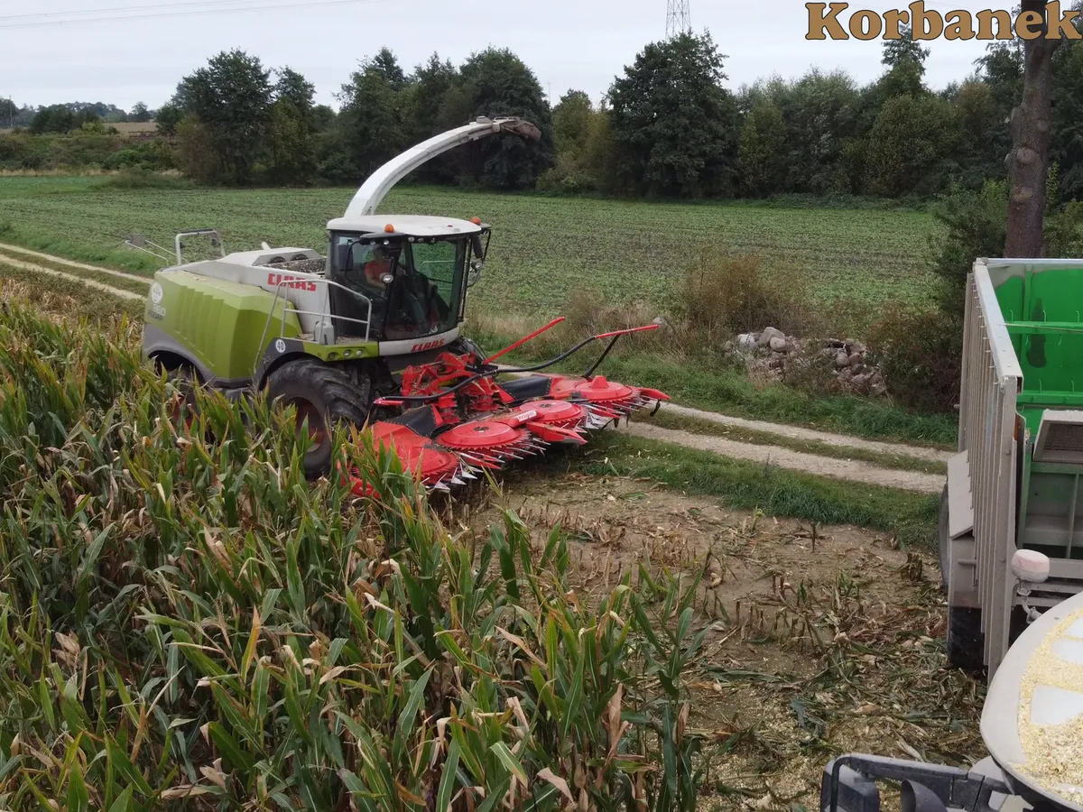 Claas Jaguar z Kemperem