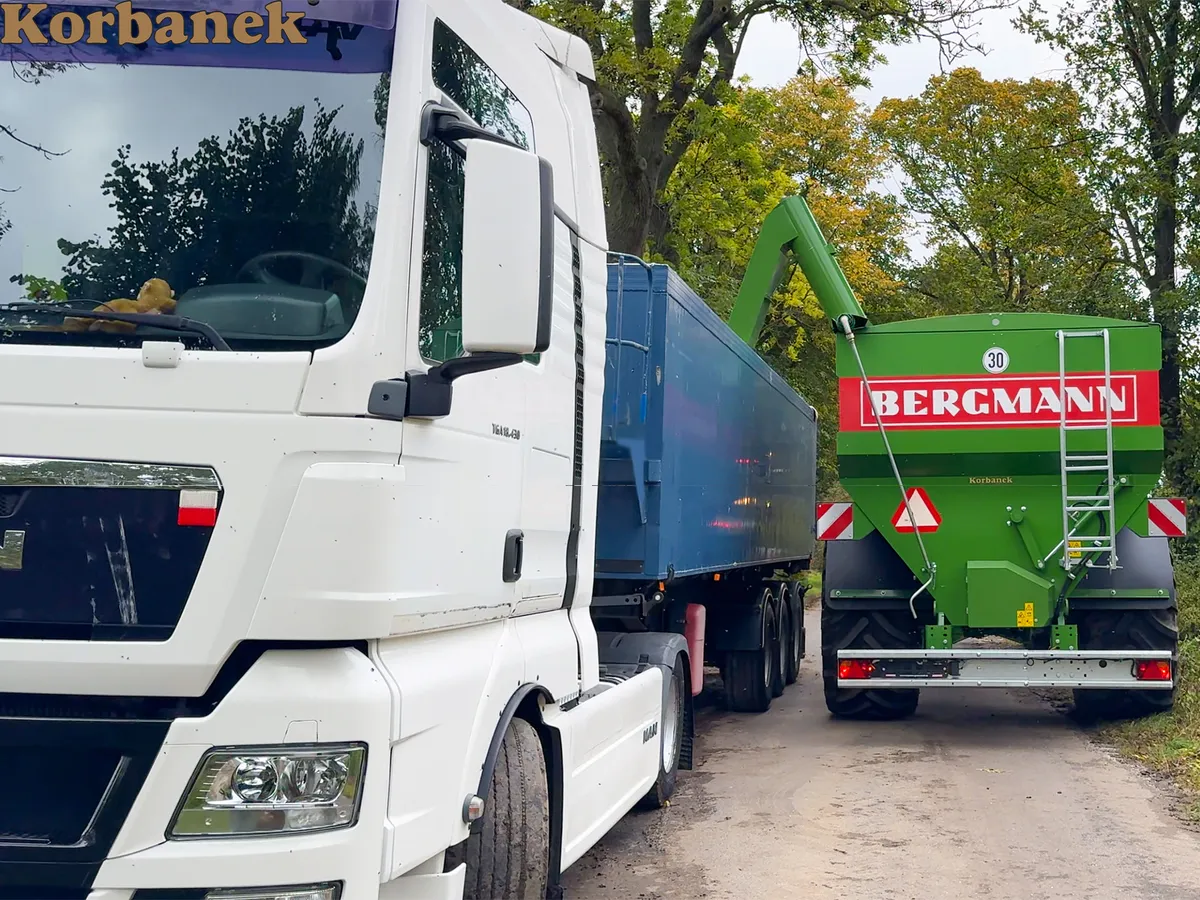 Rozładunek kukurydzy na drodze