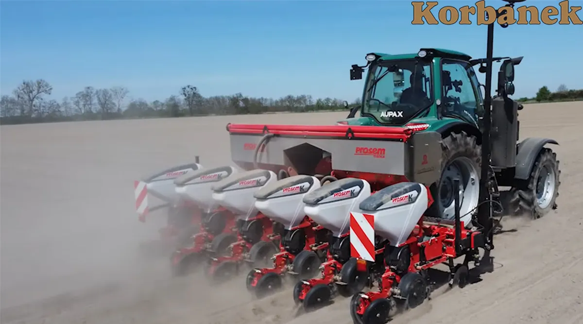 Czerwony siewnik punktowy