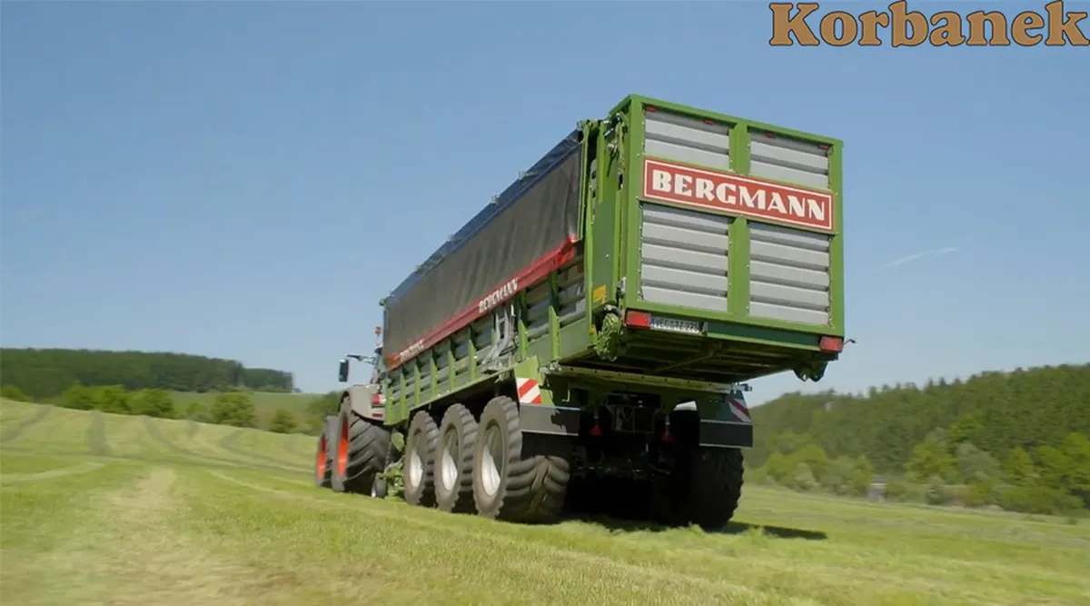 Bergmann