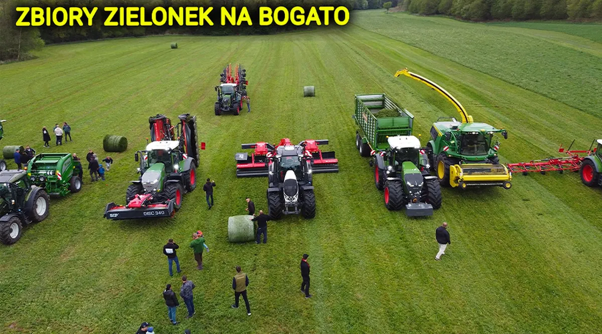 Pokazy zielonkowe Film