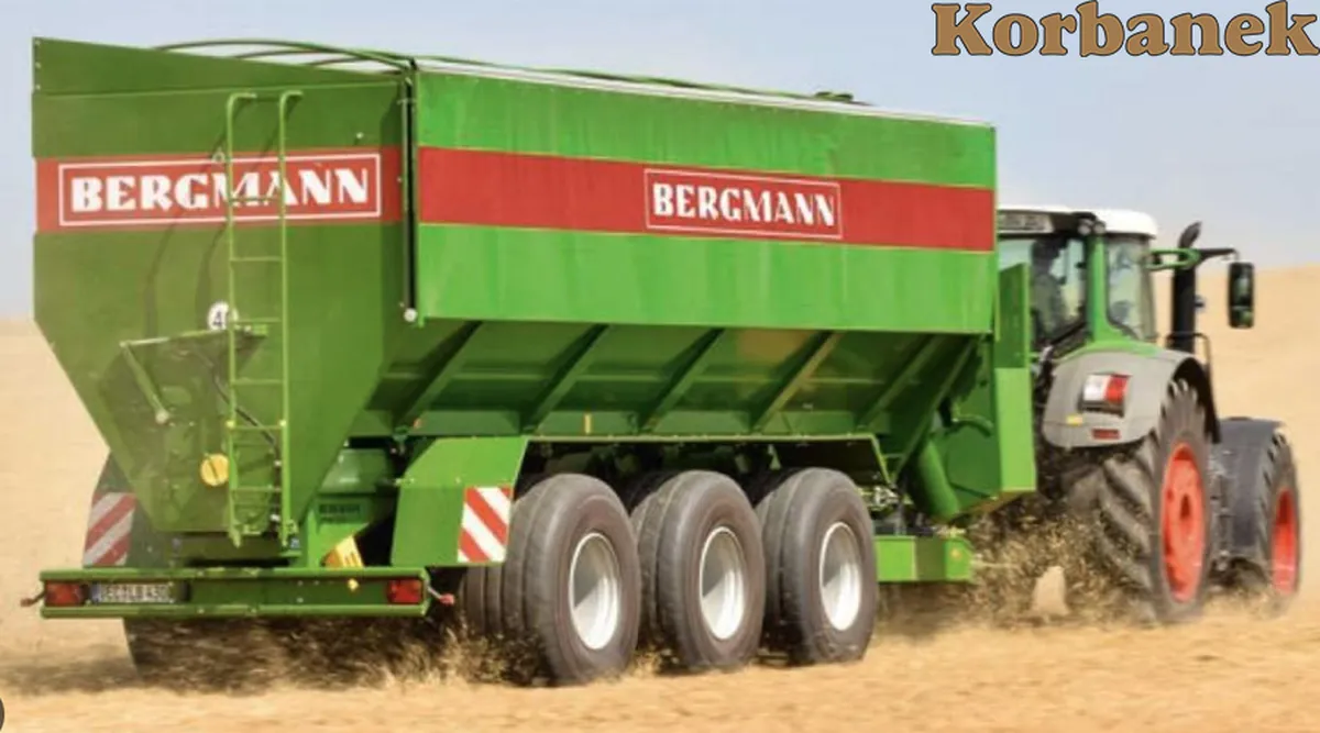 Bergmann