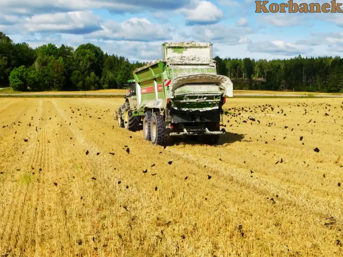 Dodaj tekst zastępczy dla szablonu