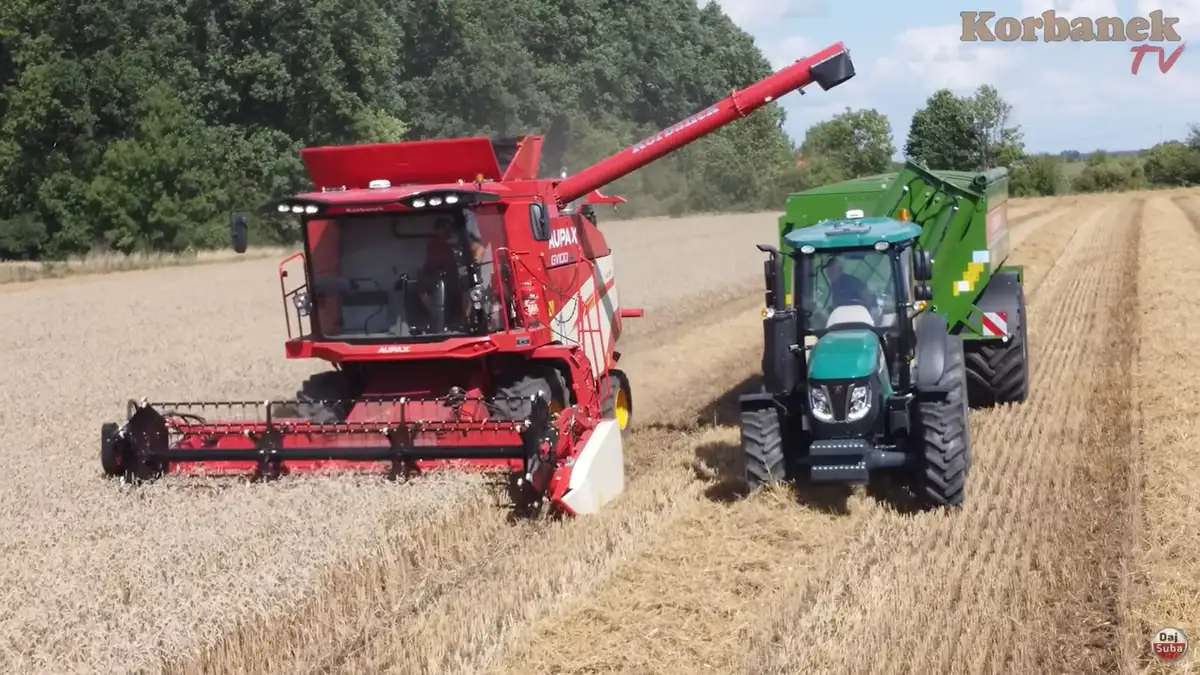 WEJŚCIE DWÓCH MECHANICZNYCH SMOKÓW