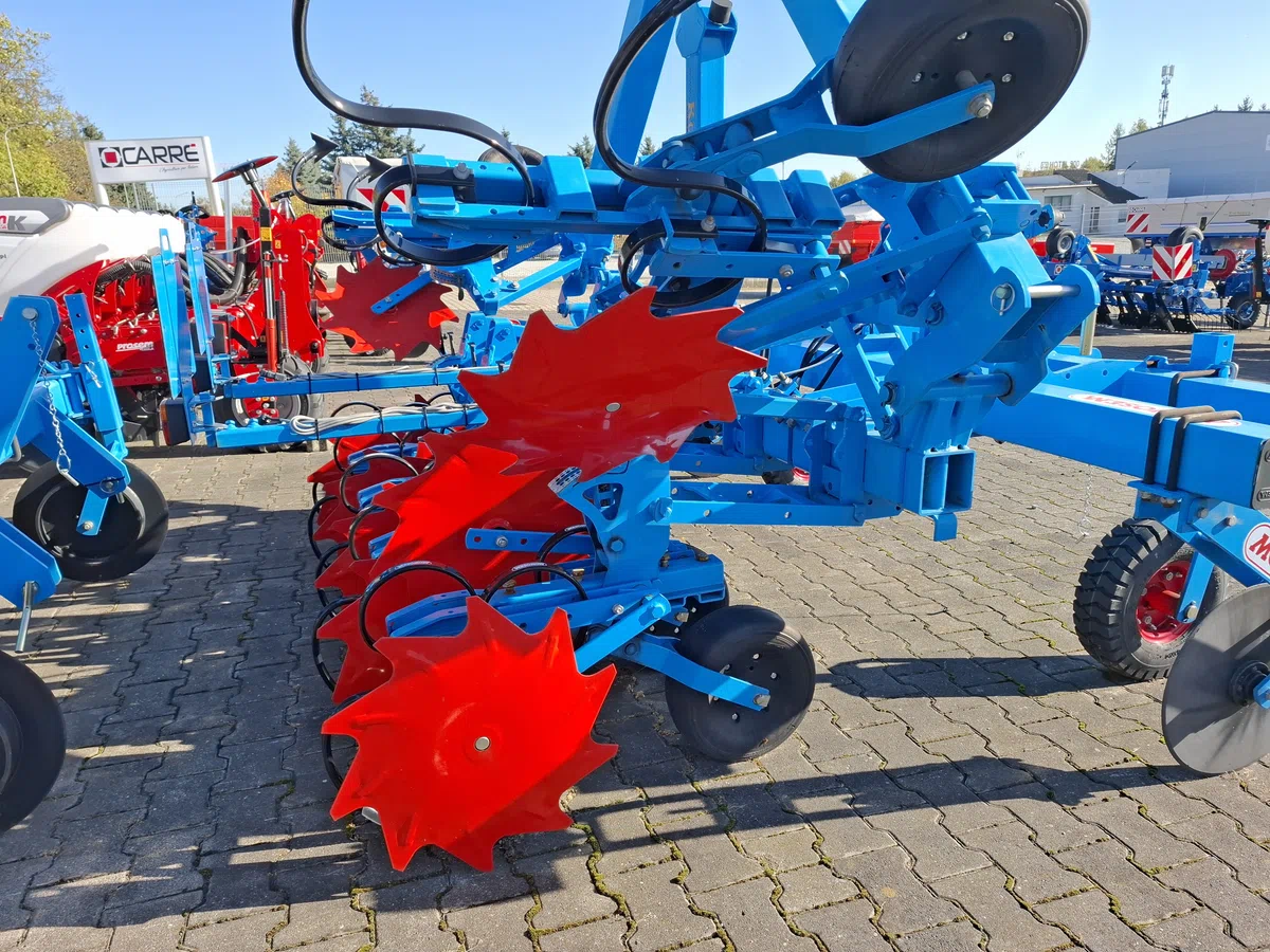 Talerze chroniące główną uprawę Talerze chroniące główną uprawę