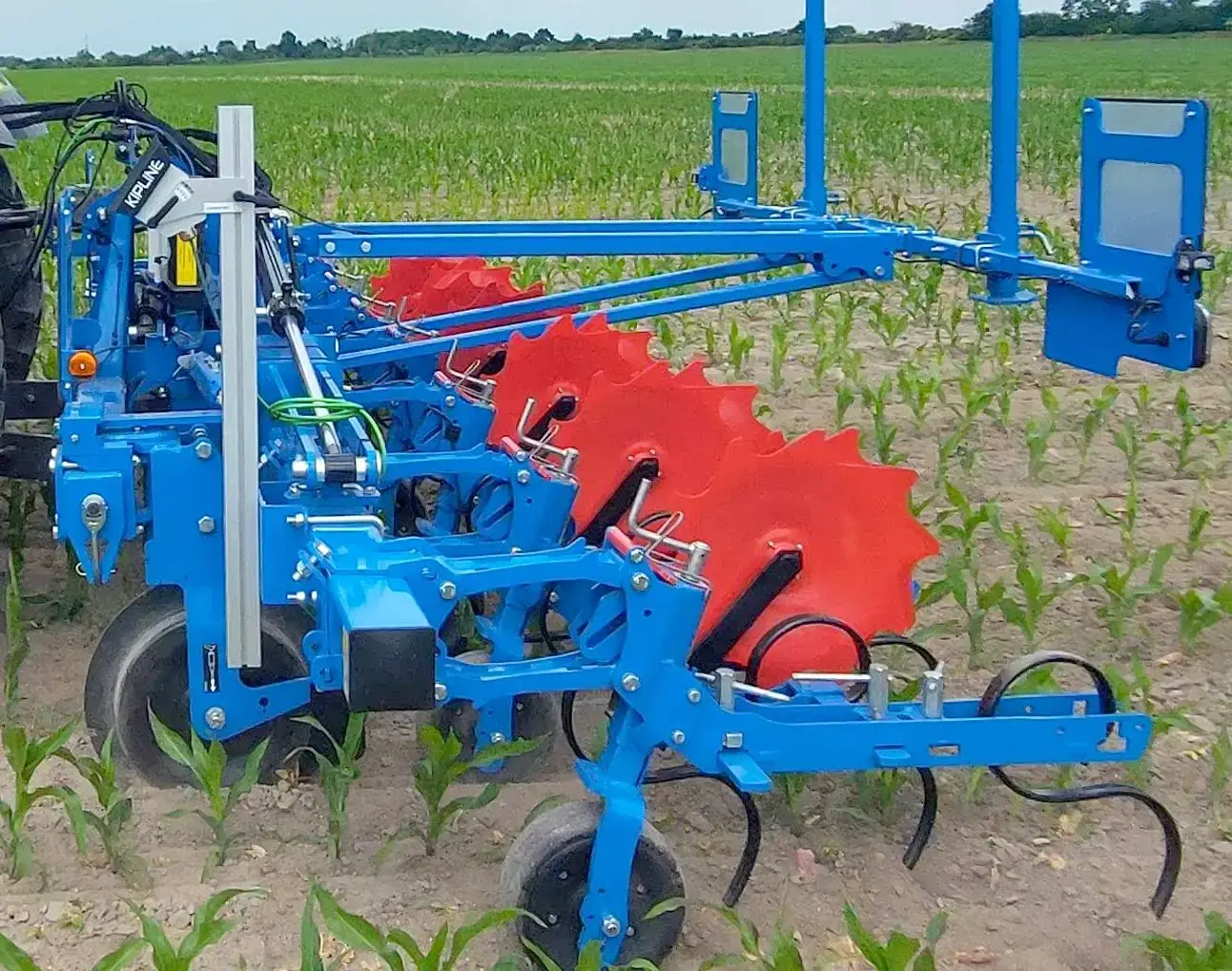 Pielnik CARRE ECONET 6-rzędowy Pielnik CARRE 6-rzędowy