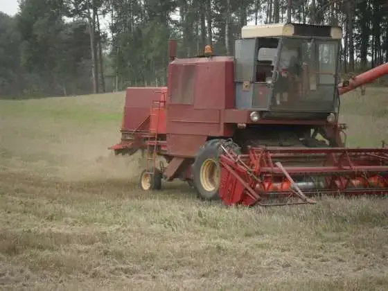 podczas pracy w polu używany kombajn zbożowy Bizon Z 056 1986 r czerwony z kabiną z rozłożoną rurą wyładunkową