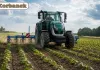 Mechaniczne odchwaszczanie słonecznika
