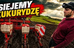 Siew kukurydzy u Bronczka