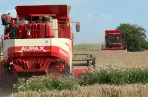 KOMBAJN ZBOŻOWY AUPAX