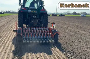 Nowoczesny wysiew cebuli