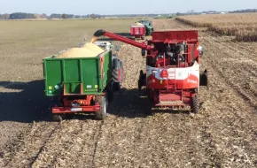 Na polach w akcji można było zobaczyć dwa chińskie kombajny, w tym znany już zestaw Arbosa z Bergmanem Pokazy odbywały się w różnych miejscach