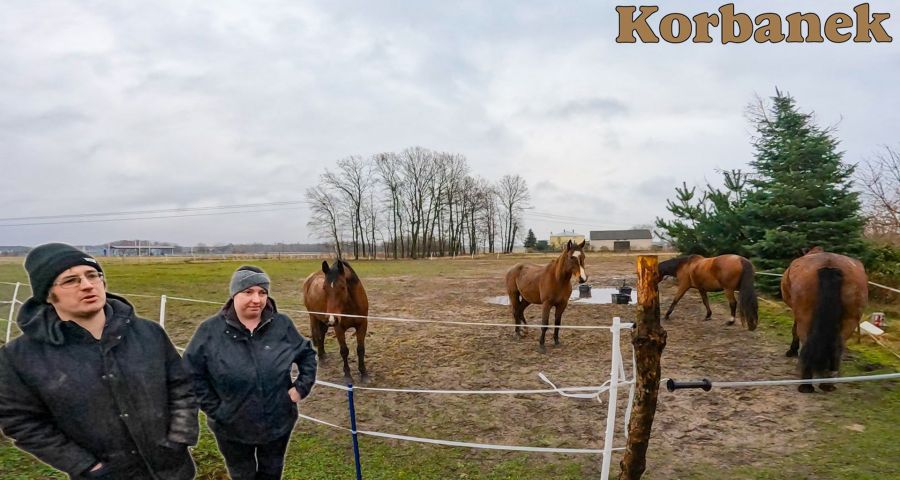 Małżeństwo kupiło ciagnik Arbos 3055 od firmy Korbanek