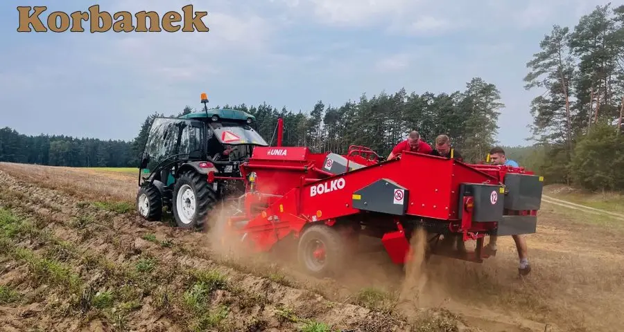 Kombajn do ziemniaków Bolko od Unii, na pokazah u Kazika Kaszebe