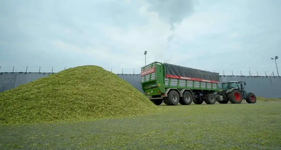 Zdjęcie z boku przyczepy Bergmann HT65 od Korbanek