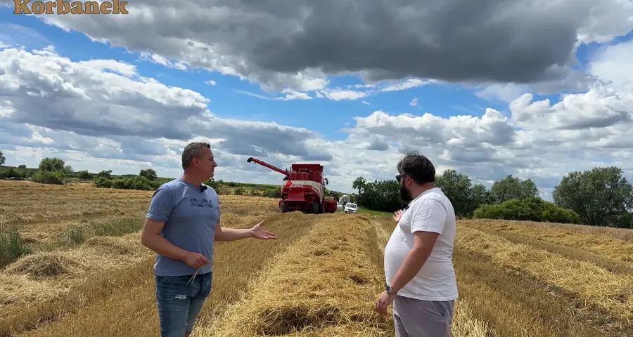 Kombajn Aupax GV 100 podczas żniw 2026 kosił u naszego Klienta jęczmień. Jak się spisał w tej uprawie Nasz Klient testował kombajn Aupax GV100 w jęczmieniu na polu w okolicach Tarnowa Podgórnego