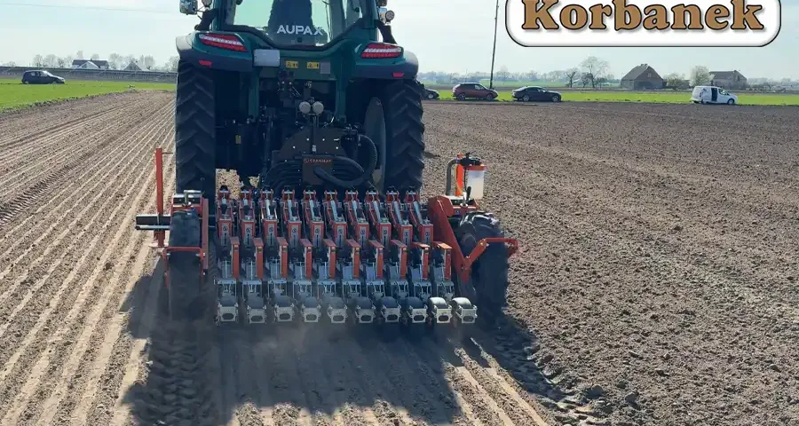 Nowoczesny wysiew cebuli