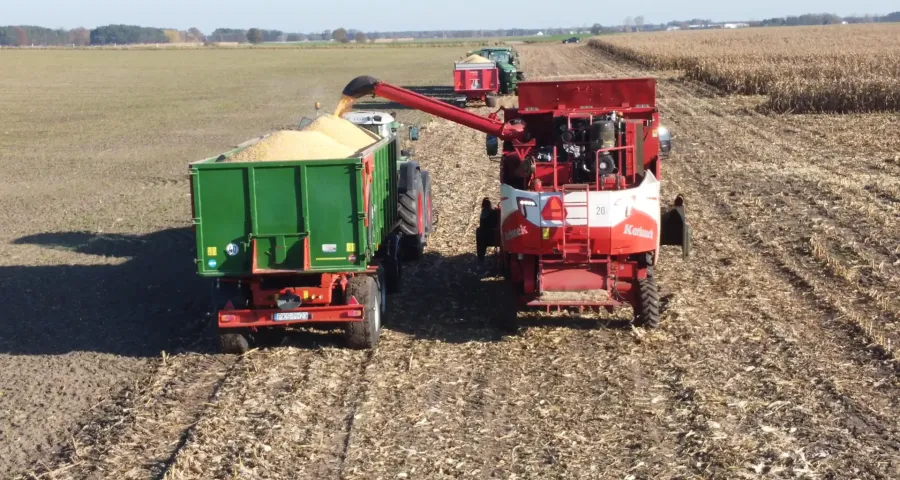 Pokazy odbywały się w różnych miejscach