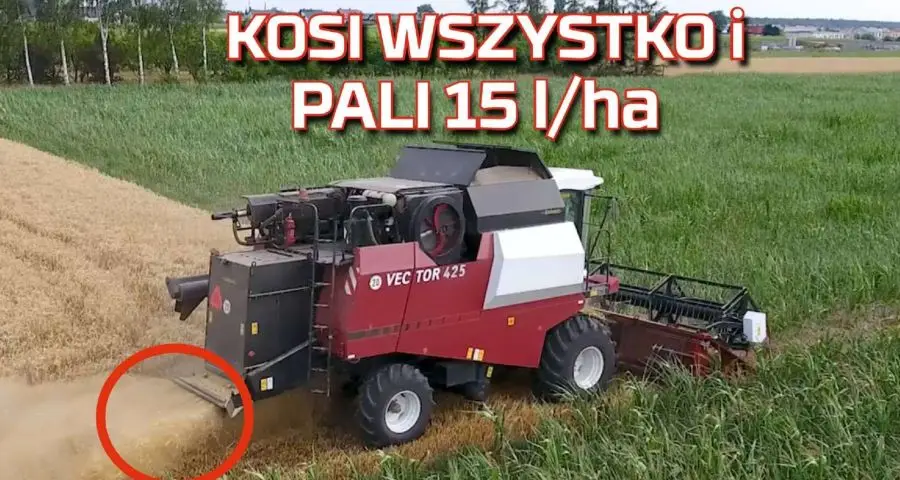 Tapeta kombajnu zbożowego Rostselmash Vector podczas żniw 2019 koszący wszystko od Korbanek www.korbanek.pl