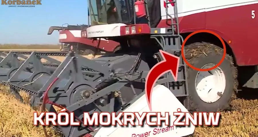 Tapeta kombajnu zbożowego Rostselmash podczas mokrych żniw na polu gdzie błoto bez gąsienic jedzie i kosi 2019 od Korbanek