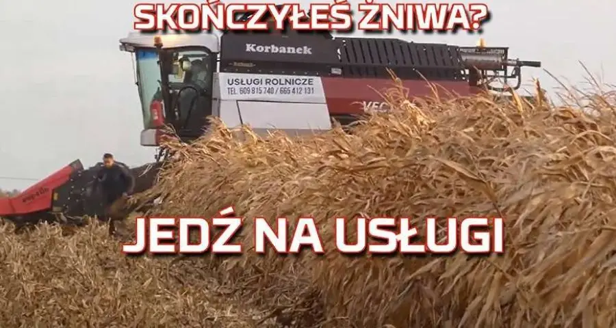 Tapeta z Kukurydza 2019 Żniwa na popcorn kombajnem zbożowym Rostselmash Vector od www.Korbanek.pl