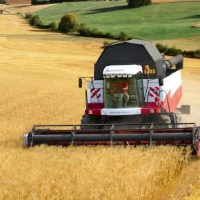 Rostselmash Acros 595 plus  podczas pracy na polu na www.korbanek.pl