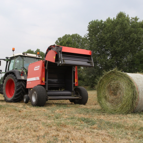 Maschio Entry 120 wyrzut beli na korbanek.pl
