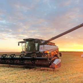 Kombajn RSM 161 wysyp 115l/min na korbanek.pl