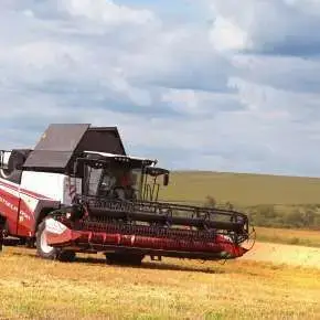 Kombajn zbożowy RSM 161 heder 7 m na korbanek.pl