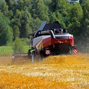 Kombajn zbożowy Rostselmash RSM 161 siekacz słomy na korbanek.pl