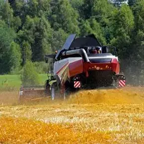 Kombajn zbożowy Rostselmash RSM 161 siekacz słomy na korbanek.pl